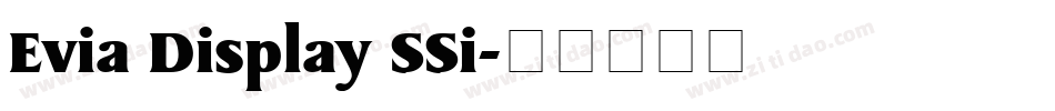 Evia Display SSi字体转换